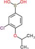[3-chloro-4-(1-methylethoxy)phenyl]boronic acid