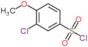 3-chloro-4-methoxybenzenesulfonyl chloride