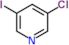 3-chloro-5-iodo-pyridine