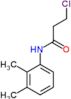 3-chloro-N-(2,3-dimethylphenyl)propanamide