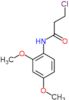 3-chloro-N-(2,4-dimethoxyphenyl)propanamide