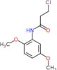 3-chloro-N-(2,5-dimethoxyphenyl)propanamide