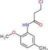 3-chloro-N-(2-methoxy-5-methylphenyl)propanamide