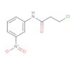 Propanamide, 3-chloro-N-(3-nitrophenyl)-