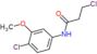 3-chloro-N-(4-chloro-3-methoxyphenyl)propanamide