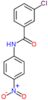 3-chloro-N-(4-nitrophenyl)benzamide