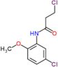 3-chloro-N-(5-chloro-2-methoxyphenyl)propanamide