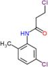 3-chloro-N-(5-chloro-2-methylphenyl)propanamide