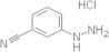 3-Cyanophenylhydrazine HCL