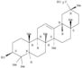 Epikatonic acid