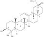 Olean-12-en-29-oicacid, 3-hydroxy-, (3b,20a)-