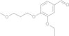 3-ethoxy-4-(3-methoxypropoxy)benzaldehyde