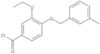 3-Ethoxy-4-[(3-methylphenyl)methoxy]benzoyl chloride