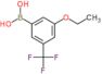 [3-ethoxy-5-(trifluoromethyl)phenyl]boronic acid