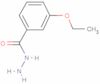 3-Ethoxybenzhydrazide