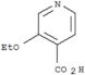 3-Ethoxy-4-pyridinecarboxylic acid