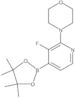 4-[3-Fluoro-4-(4,4,5,5-tetramethyl-1,3,2-dioxaborolan-2-yl)-2-pyridinyl]morpholine