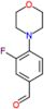 3-Fluoro-4-(4-morpholinyl)benzaldehyde