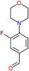 3-fluoro-4-morpholin-4-ylbenzaldehyde