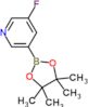 3-fluoro-5-(4,4,5,5-tetramethyl-1,3,2-dioxaborolan-2-yl)pyridine
