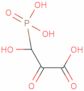 Phosphohydroxypyruvic acid