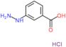 3-hydrazinobenzoic acid hydrochloride