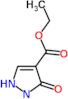 ethyl 3-oxo-2,3-dihydro-1H-pyrazole-4-carboxylate