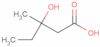 Hydroxymethylvalericacid; 95%