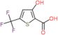 3-hydroxy-5-(trifluoromethyl)thiophene-2-carboxylic acid