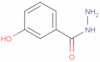 3-Hydroxybenzohydrazide