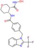 (3R,4R)-N-hydroxy-4-[(4-{[2-(trifluoromethyl)-1H-benzimidazol-1-yl]methyl}benzoyl)amino]tetrahydro…