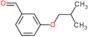 3-(2-methylpropoxy)benzaldehyde