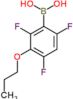 (2,4,6-trifluoro-3-propoxyphenyl)boronic acid