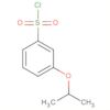 Benzenesulfonyl chloride, 3-(1-methylethoxy)-