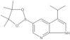 3-(1-Methylethyl)-5-(4,4,5,5-tetramethyl-1,3,2-dioxaborolan-2-yl)-1H-pyrrolo[2,3-b]pyridine