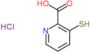 3-sulfanylpyridine-2-carboxylic acid hydrochloride