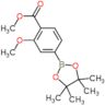 methyl 2-methoxy-4-(4,4,5,5-tetramethyl-1,3,2-dioxaborolan-2-yl)benzoate