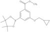 Methyl 3-(cyclopropylmethoxy)-5-(4,4,5,5-tetramethyl-1,3,2-dioxaborolan-2-yl)benzoate