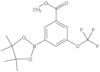 Methyl 3-(4,4,5,5-tetramethyl-1,3,2-dioxaborolan-2-yl)-5-(trifluoromethoxy)benzoate