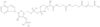 3-Methylglutaconyl CoA
