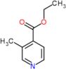 3-methylpyridine-4-carboxylic acid