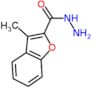 3-methyl-1-benzofuran-2-carbohydrazide