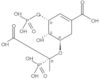 (3R,4S,5R)-5-[(1R)-1-Carboxy-1-phosphonoethoxy]-4-hydroxy-3-(phosphonooxy)-1-cyclohexene-1-carboxy…
