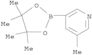 ester pinacol de l'acide 5-méthylpyridin-3-ylboronique