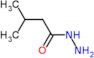 3-methylbutanehydrazide