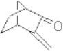 Methylenenorcamphor