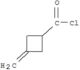 Cyclobutanecarbonylchloride, 3-methylene-