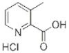 3-Methylpicolinic Acid Hydrochloride