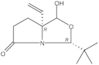 (3R,7aR)-3-(1,1-dimethylethyl)-7a-ethenyltetrahydro-1-hydroxy-3H,5H-Pyrrolo[1,2-c]oxazol-5-one