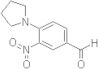 3-Nitro-4-pyrrolidin-1-yl-benzaldehyde